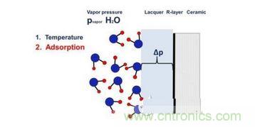 水汽濃度,蒸汽壓