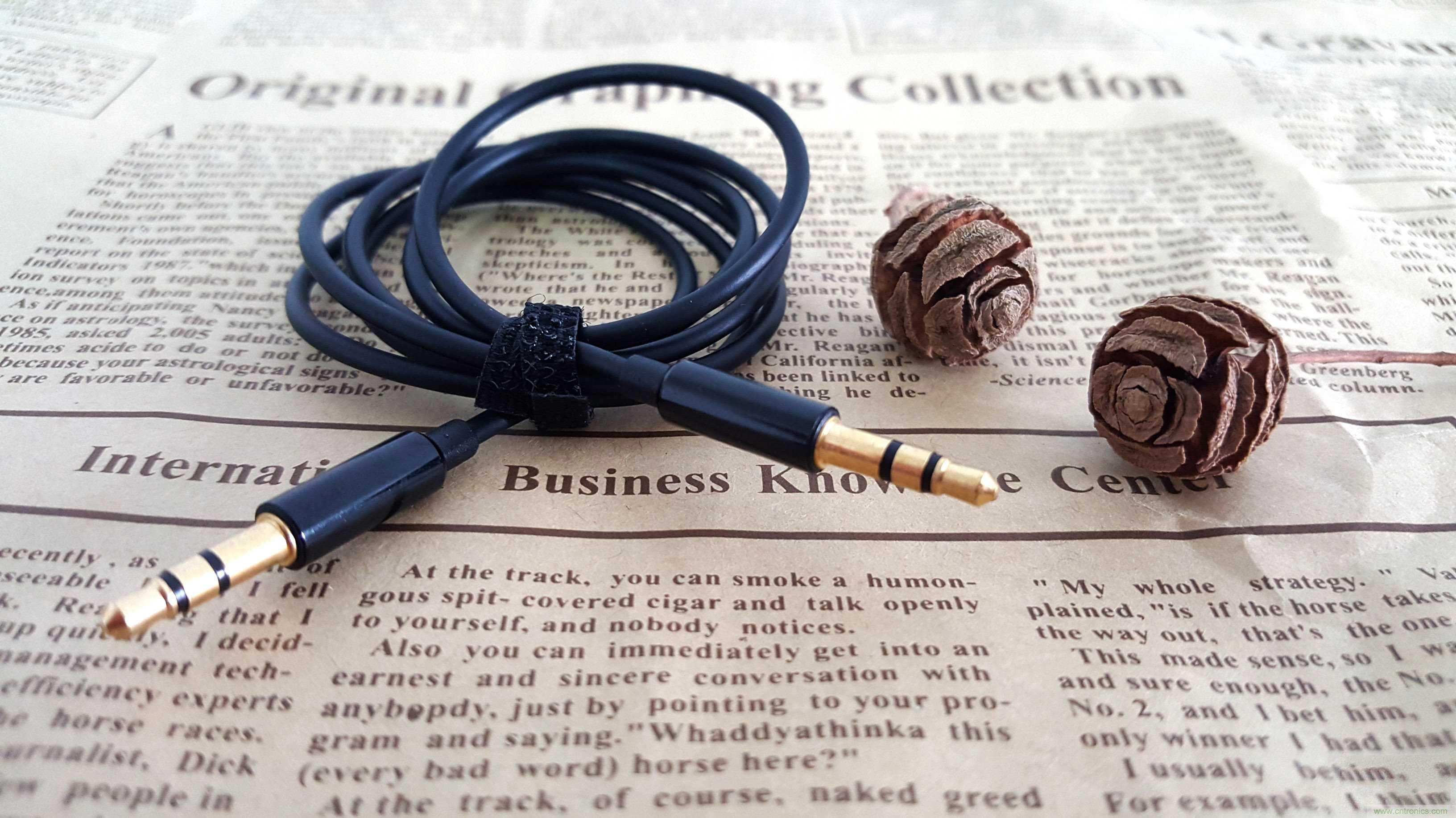 搞怪“美人魚”盡享靈克藍(lán)牙音箱的天籟之音!