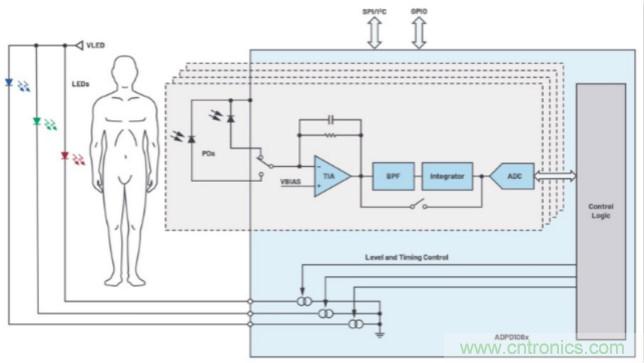 監控你的生命體征?還是讓專業的來吧~