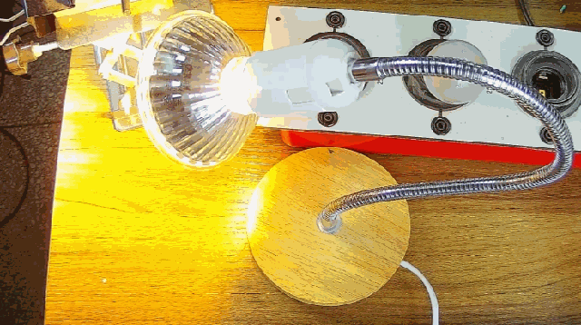 電燈泡內(nèi)通有交流電，為什么看不到燈泡在閃爍？