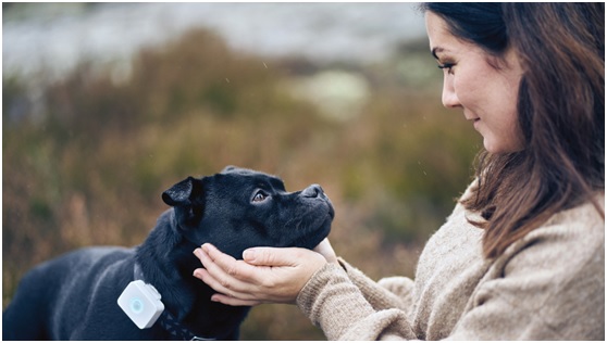 低功耗藍牙和蜂窩物聯網可穿戴設備幫助照看寵物